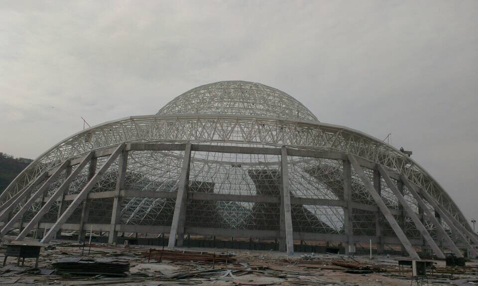 东丽体育场馆网架工程