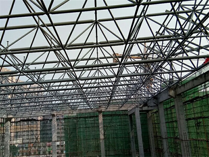 东丽光谷第十一小学网架